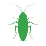 Dedetização baratas