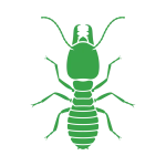 Descupinização - dedetização para cupim